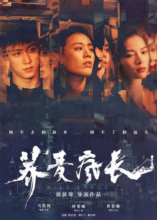 法兰克福财经管理大学金融文凭证书